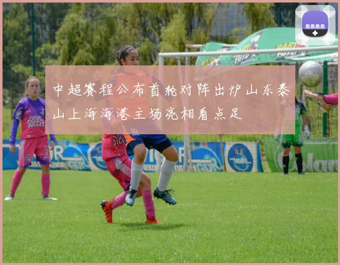 中超赛程公布首轮对阵出炉山东泰山上海海港主场亮相看点足