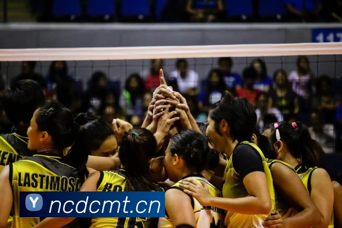 必一·运动(Bsports)官方网站 - Global Platform发展历程